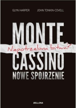Monte Cassino - nowe spojrzenie
