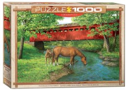 Puzzle 1000 Rodzina koni