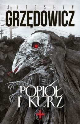 Popiół i kurz-Jarosław Grzędowicz