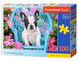 Puzzle 100 French Bulldog Puppy CASTOR
