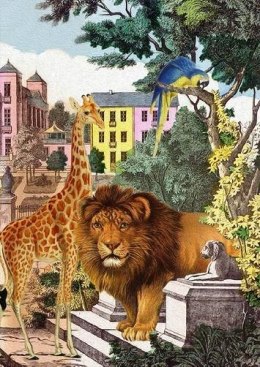Karnet B6 z kopertą Dzikie zwierzęta