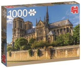 Puzzle 1000 PC Katedra Notre Dame/Paryż G3