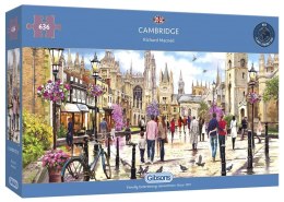 Puzzle 636 Cambridge/Anglia (panorama) G3