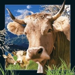 Pocztówka 3D Szwajcarska krowa