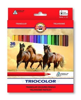 Kredki Triocolor 36 kolorów