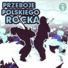 Przeboje polskiego rocka vol.1 CD