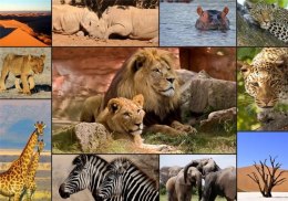 Puzzle 1500 Dzikie zwierzęta
