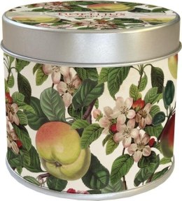 Zapachowa świeczka 155 - jabłoń - zapach jabłkowy