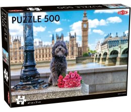 Puzzle 500 Dog in London