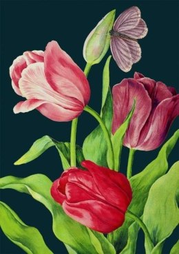 Karnet B6 z kopertą Tulipany nocą