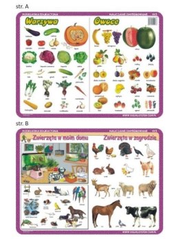Podkładka edu. 003 - Warzywa, owoce, zwierzęta