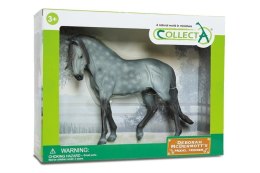 Koń Andalusian Stallion Dark Dapple Grey