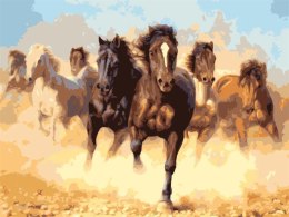 Malowanie po numerach - Pędzące konie 40x50cm