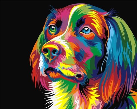 Malowanie po numerach - Kolorowy pies 40x50cm