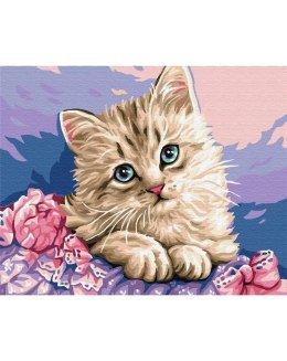 Malowanie po numerach - Niebieskooki kotek 40x50cm