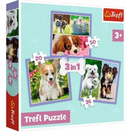 Puzzle 3w1 Urocze pieski TREFL