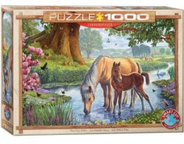 Puzzle 1000 Dzikie konie
