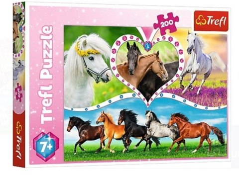 Puzzle 200 Piękne konie TREFL