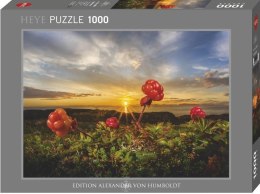 Puzzle 1000 Malina Nordycka z zachodem słońca
