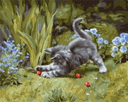 Malowanie po numerach - Zabawny kotek 40x50cm