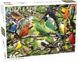 Puzzle 500 Animals: Exotic Birds