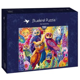 Puzzle 2000 Kolorowe sowy