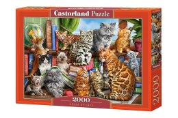 Puzzle 2000 House of Cats CASTOR