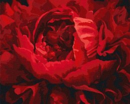 Malowanie po numerach - Wyśmienity kwiat 40x50cm