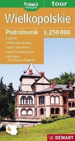 Mapa - Wielkopolskie Podróżownik 1:250 000