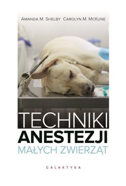Techniki anestezji małych zwierząt