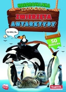 Zwierzęta Antarktydy z naklejkami. Kolorowanka edu