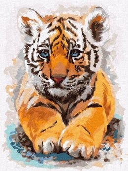 Malowanie po numerach - Mały tygrysek 30x40cm