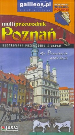 Multiprzewodnik - Poznań