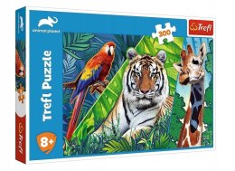 Puzzle 300 Niesamowite zwierzęta TREFL