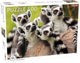 Puzzle 500 Animals: Lemurs