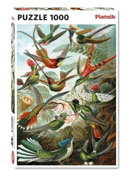 Puzzle 1000 - Haeckel, Kolibry PIATNIK