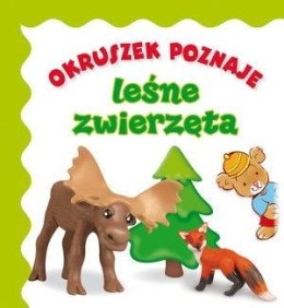 Okruszek poznaje - leśne zwierzęta wyd.2017