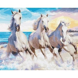 Malowanie po numerach - Trójca białych koni 40x50