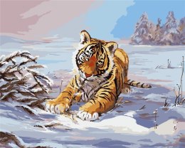 Malowanie po numerach - Tygrys w zimie 40x50cm