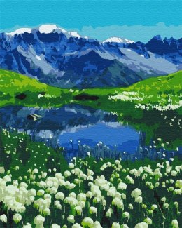 Malowanie po numerach - Alpejskie łąki 40x50cm