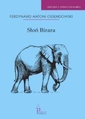 Słoń Birara. Lektura z opracowaniem.