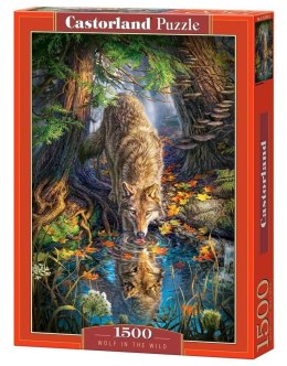 Puzzle 1500 Wolf in the wild CASTOR