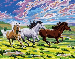 Malowanie po numerach - Konie na polu 40x50cm