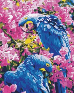 Malowanie po numerach - Niebieskie papugi 40x50cm