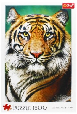 Puzzle 1500 Portret tygrysa TREFL