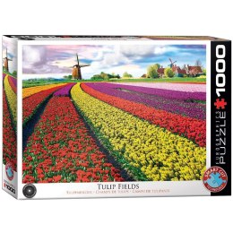 Puzzle 1000 Pole tulipanów w Holandii