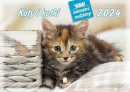 Kalendarz 2024 Rodzinny Koty i kotki