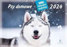 Kalendarz 2024 Rodzinny Psy domowe