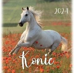 Kalendarz 2024 Konie