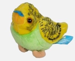 Papużka żółta 14cm